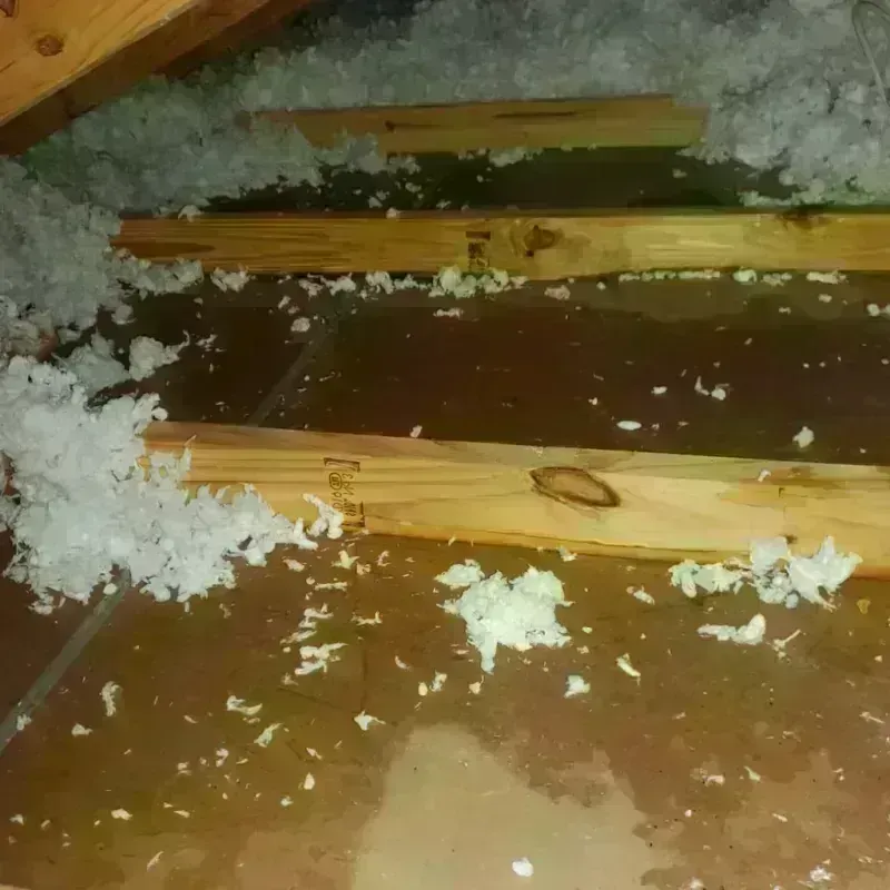 Attic Water Damage in Grafton, WI