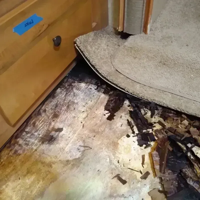 Wood Floor Water Damage in Grafton, WI